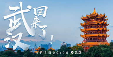 “連接線專家”金佳佰業(yè),讓數(shù)據(jù)傳輸更高效